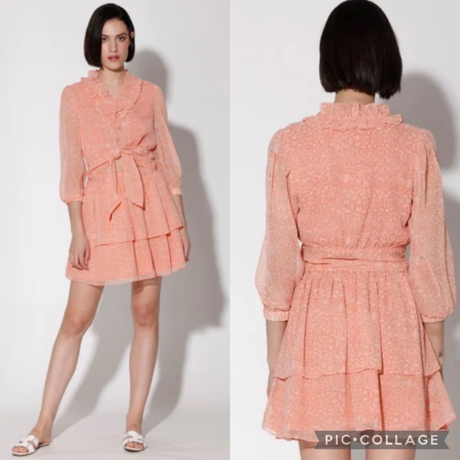 Nwt Walter Baker Bree Top & Brooke Skirt Two Piece Set In Peach Jaguar Size L/Xl